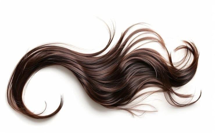 does bridget macron wear a wig - photo timeline evidence expert stylist reactions revealed