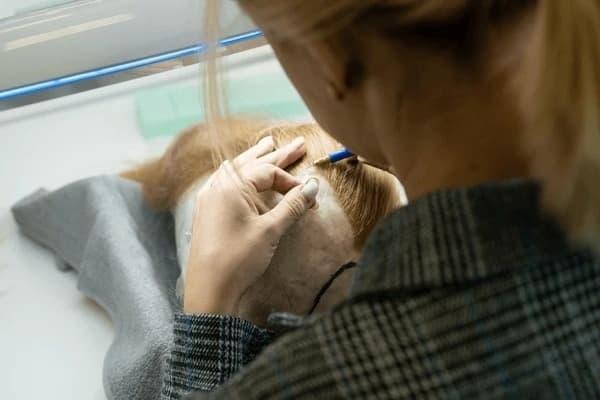 is ariana grande wearing a wig fact check with photos, stylist analysis and the latest sightings